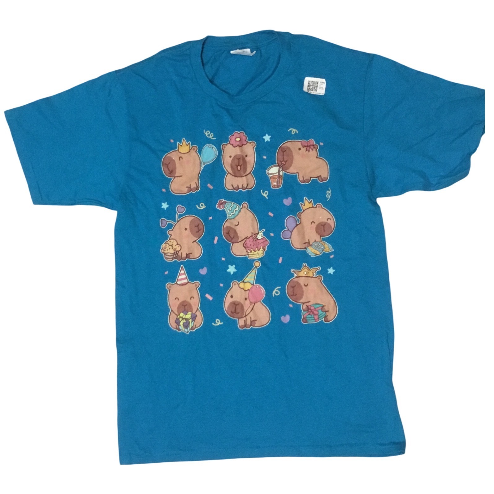Port & Company Capybara Birthday Party Nwt Graphic Tee Womens Small